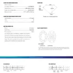 4 carat Oval Cut Diamond